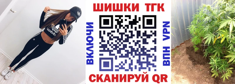 Купить  Городовиковск  Канабис семена 